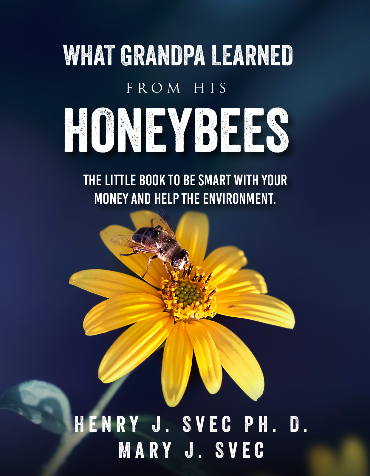 Buchumschlag Design von Sarina.dsg für dieses Projekt | Design #29867984