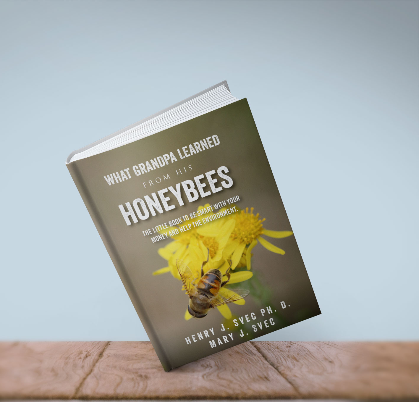 Buchumschlag Design von Sarina.dsg für dieses Projekt | Design #29867985