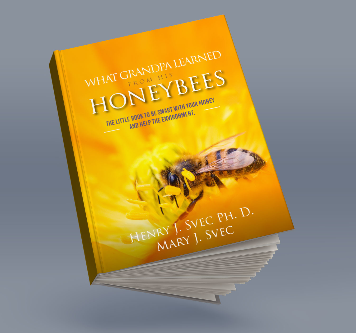 Book Cover Design by Sarina.dsg for this project | Design #29871570