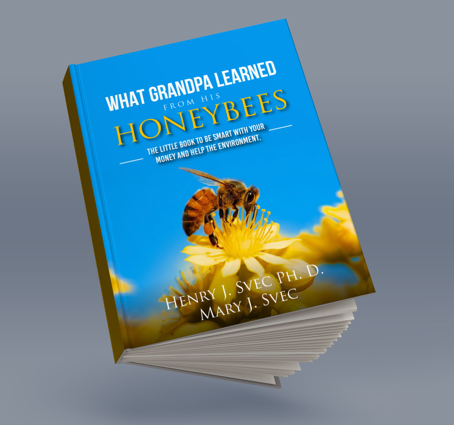 Buchumschlag Design von Sarina.dsg für dieses Projekt | Design #29871571