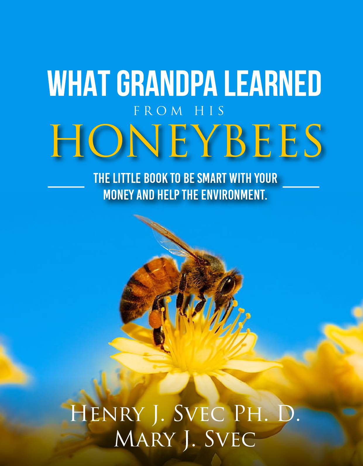 Book Cover Design by Sarina.dsg for this project | Design #29871572