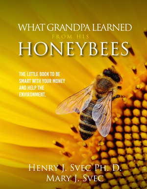 Diseño de portada de libro por Sarina.dsg para este proyecto | Diseño: #29871573