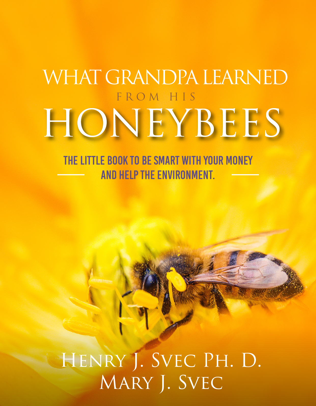 Book Cover Design by Sarina.dsg for this project | Design #29871574