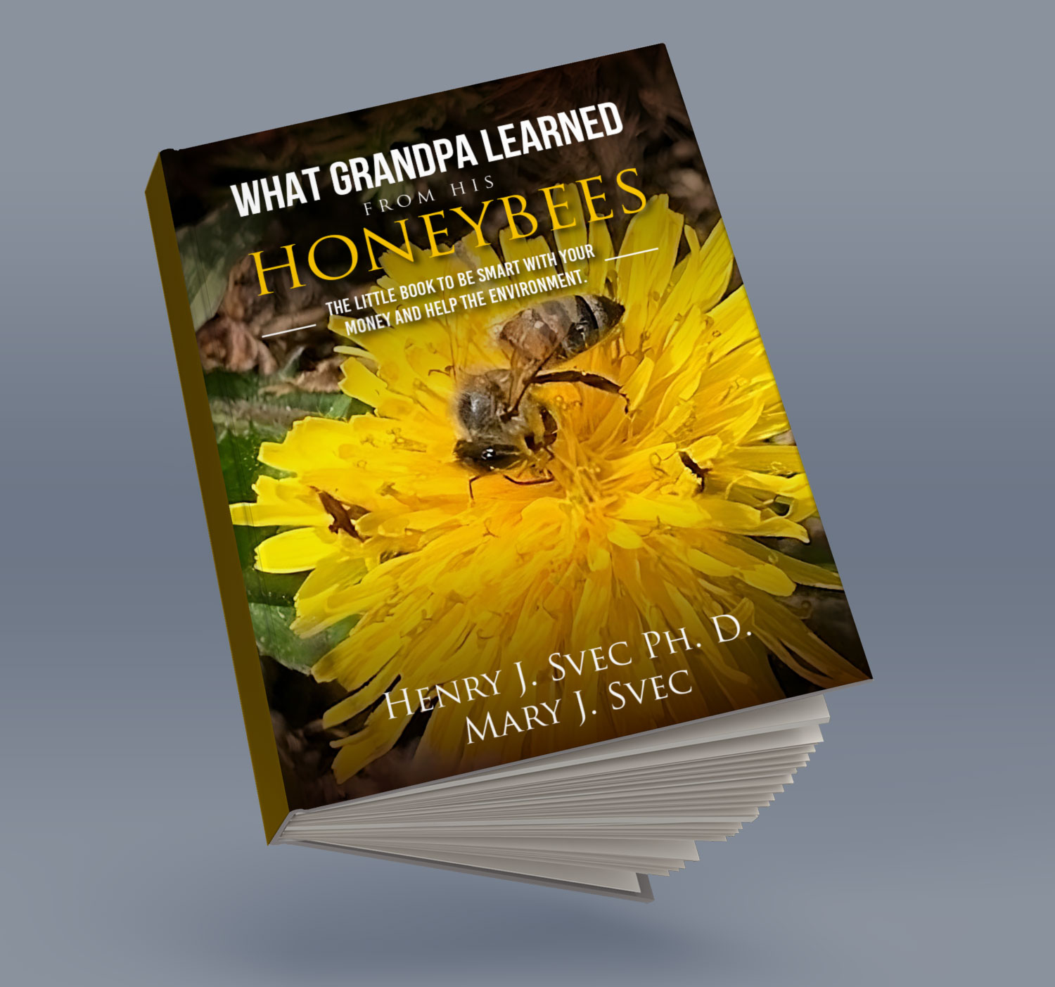 Diseño de portada de libro por Sarina.dsg para este proyecto | Diseño #29872463