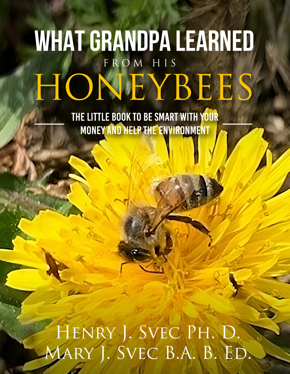 Book Cover Design by Sarina.dsg for this project | Design #29875508