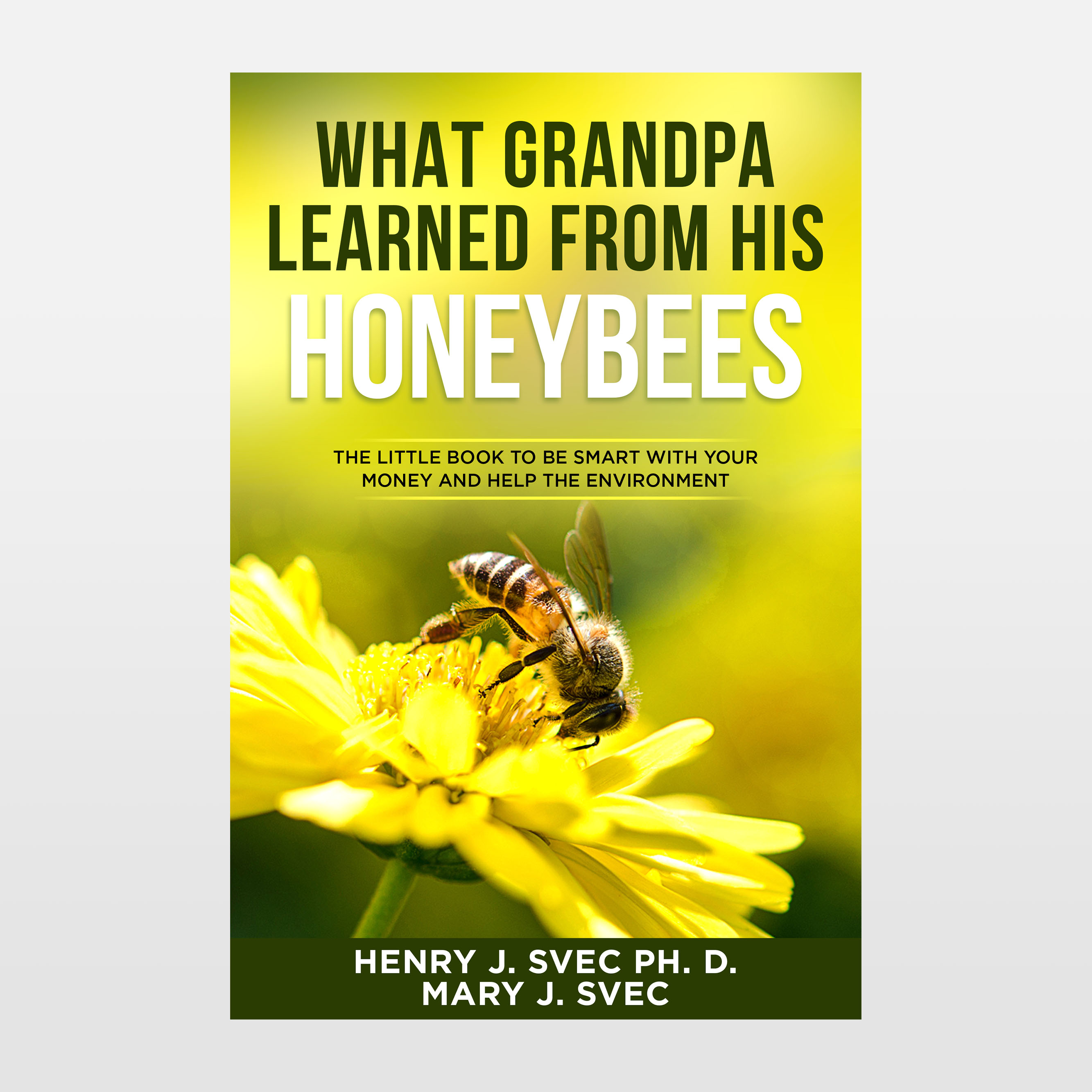 Buchumschlag Design von abdul700 für dieses Projekt | Design #29873418