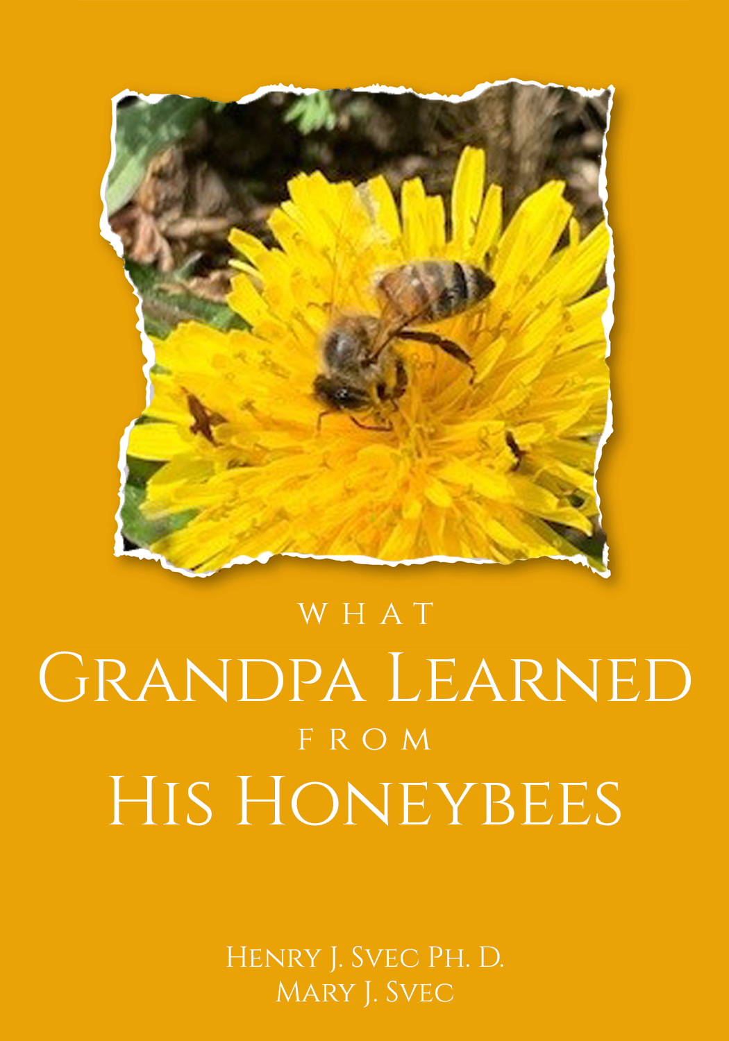 Diseño de portada de libro por sormaz.tanja para este proyecto | Diseño #29872051