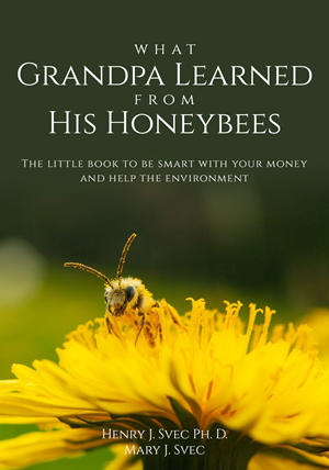 Diseño de portada de libro por sormaz.tanja para este proyecto | Diseño: #29873978