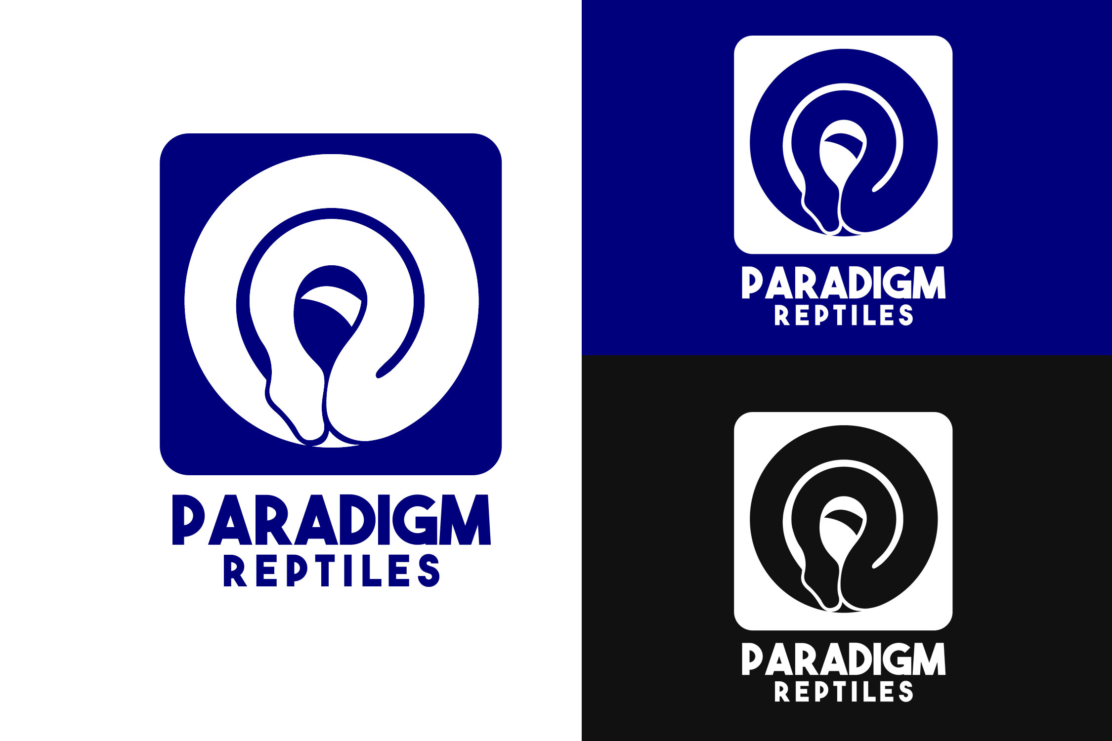 Diseño de Logo por R.Bello para Paradigm Reptiles | Diseño #29882791