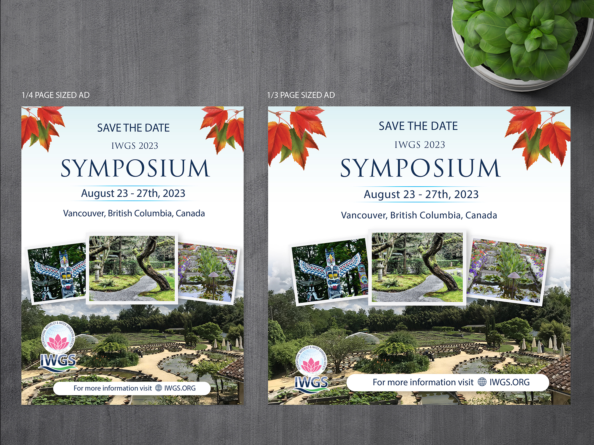 Newspaper Ad Design by alex989 for this project | Design #29880220