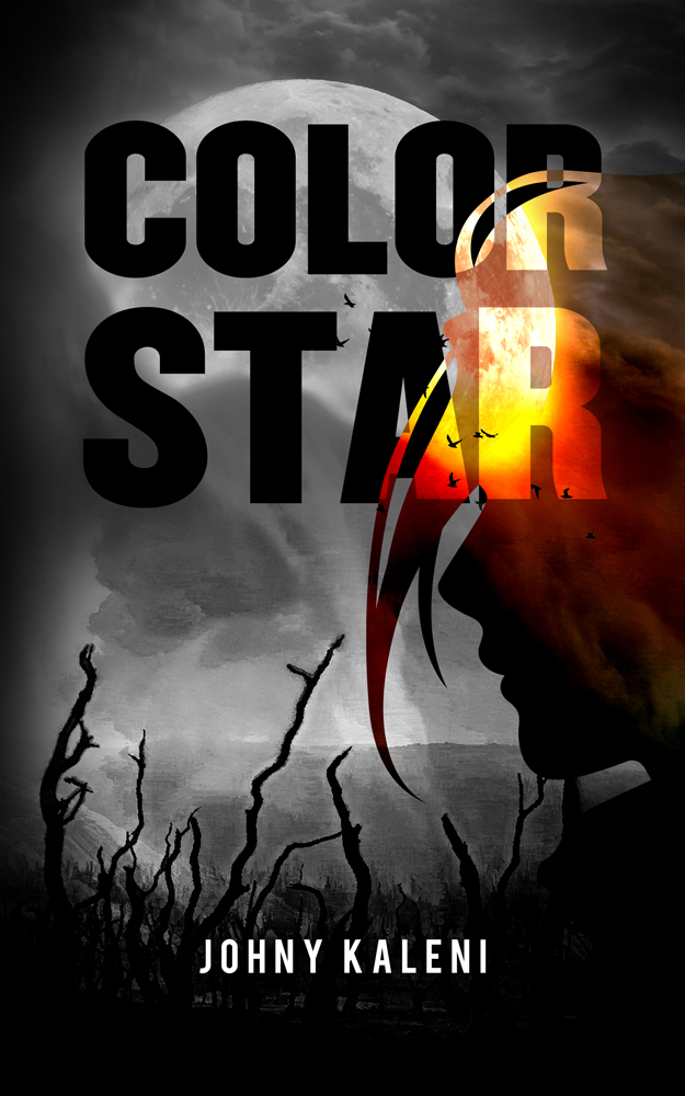 eBook Cover Design by elenaivanova for this project | Design #29879898