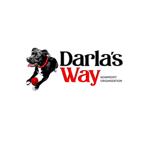 Logo Design by Jose Lopez ( Verified Pro Designer )
