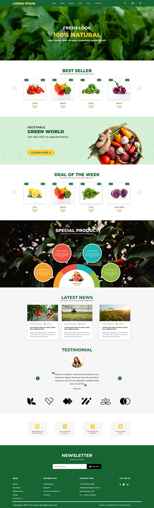 Web Design by Thinkssoft