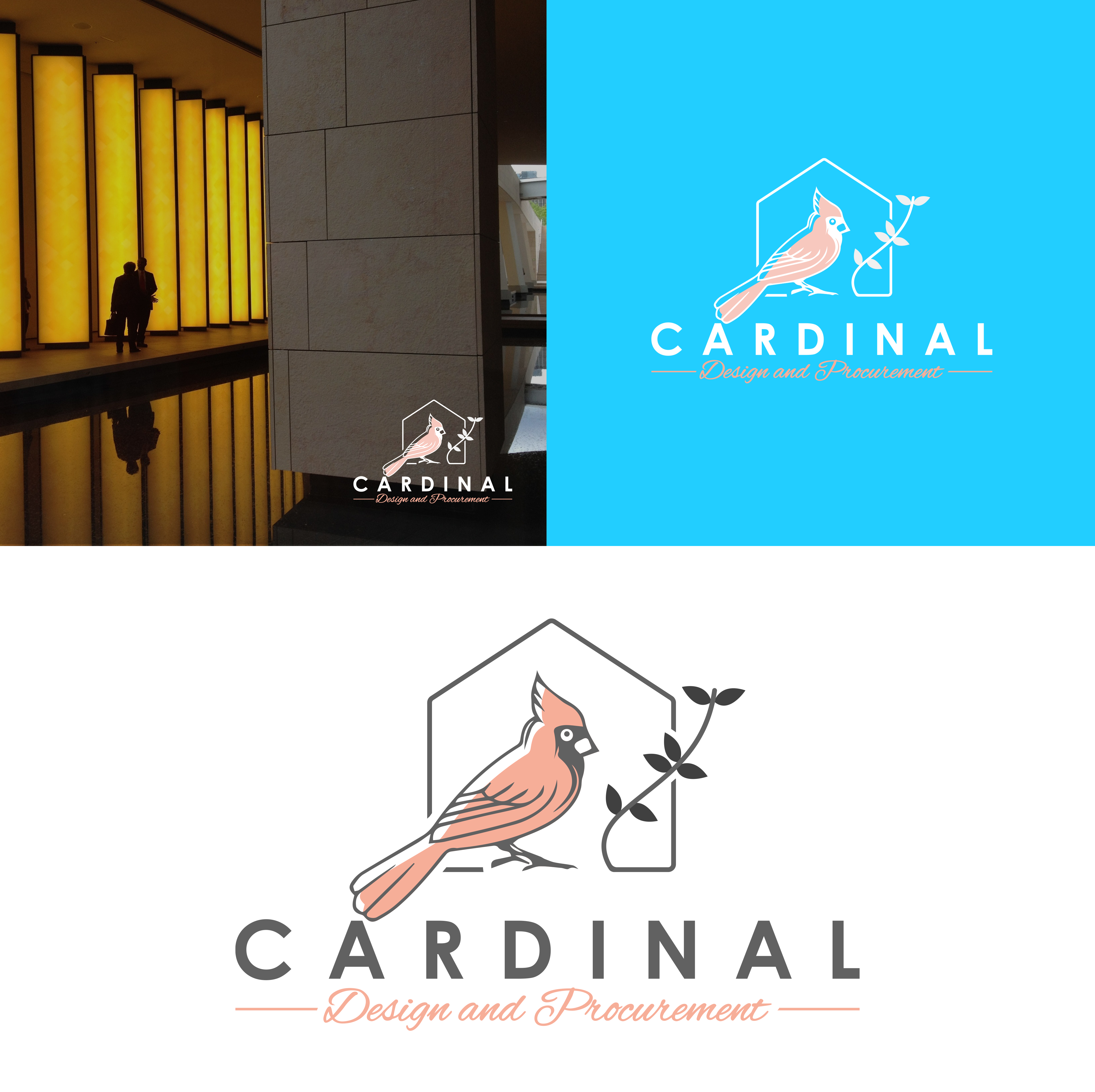 Logo Design by Peak design for this project | Design #29987868