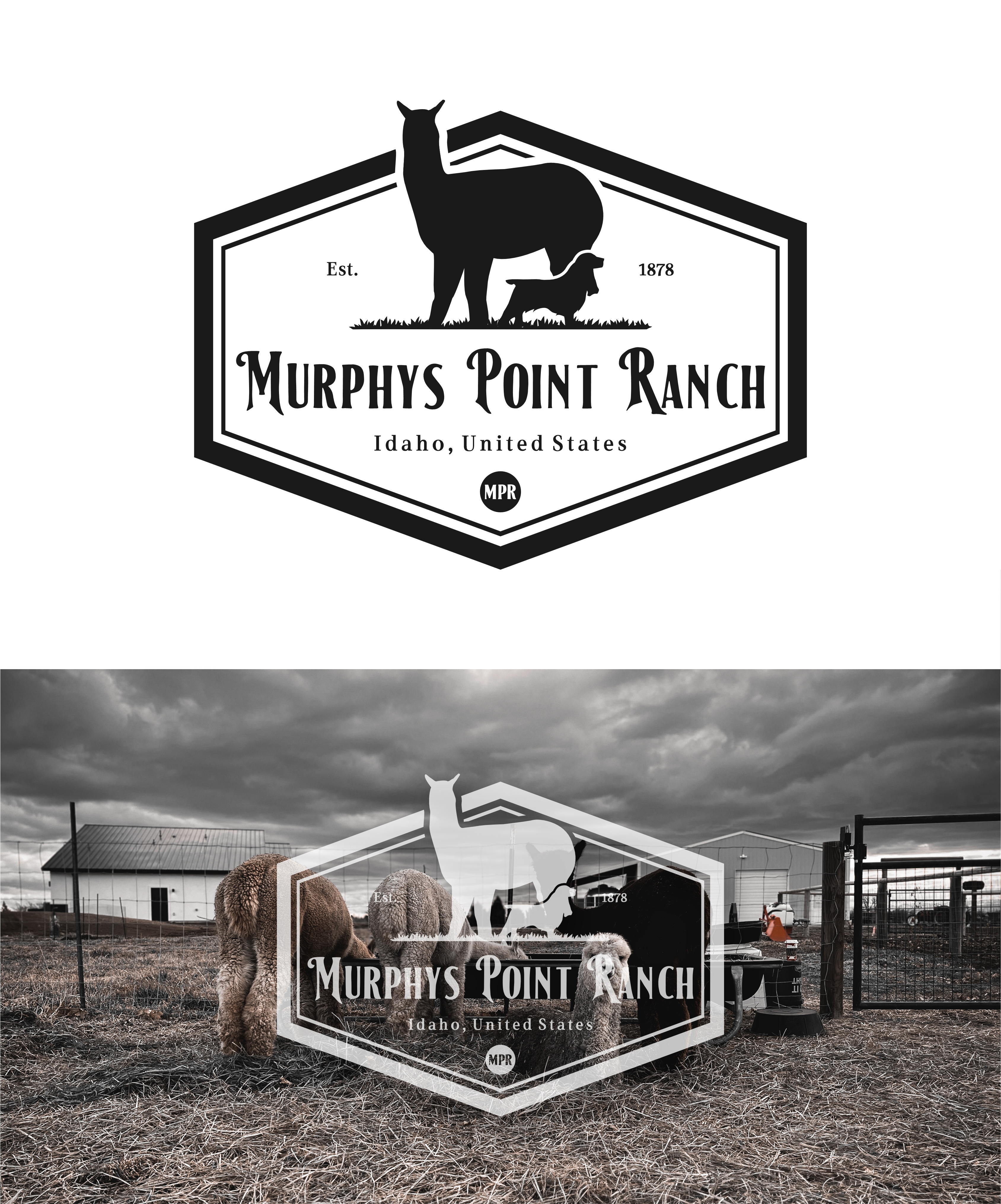 Logo Design by DoppelGanger Studio for this project | Design #29889710