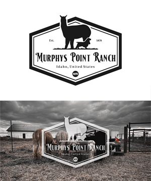 Design de Logo par DoppelGanger Studio pour ce projet | Design : #29889710