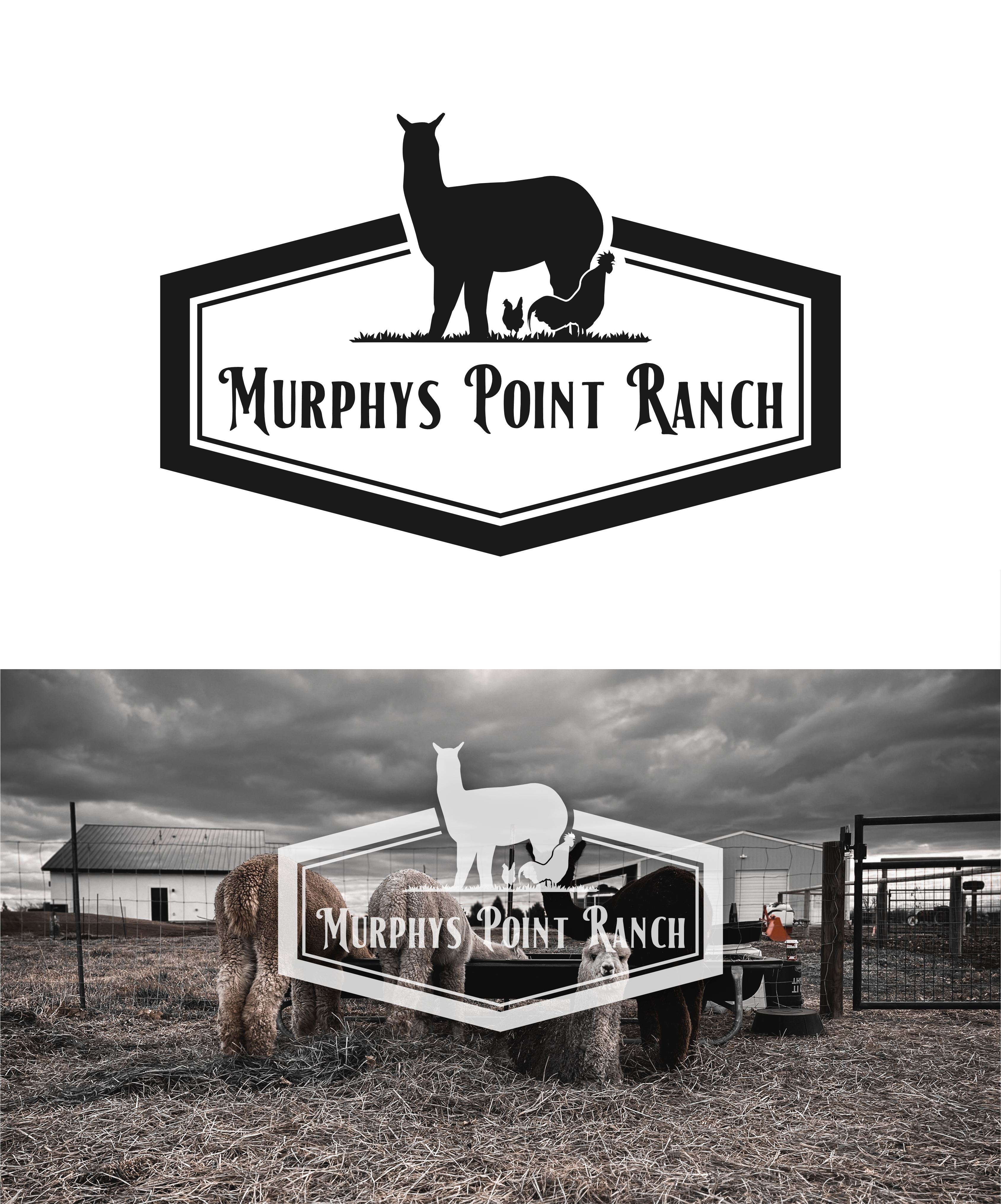 Logo-Design von DoppelGanger Studio für dieses Projekt | Design #29906756