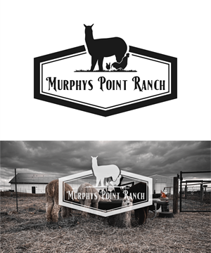 Design de Logo par DoppelGanger Studio pour ce projet | Design : #29906756
