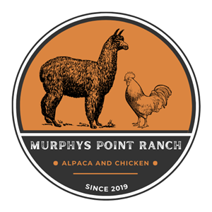 Logo Design by Ricardo Soares