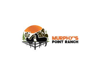 Logo Design by Vassusi SA