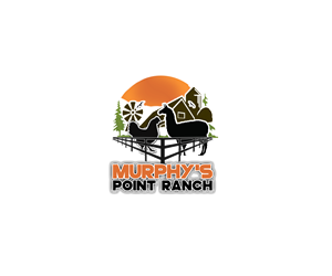 Logo-Design von Vassusi SA für dieses Projekt | Design: #29914229