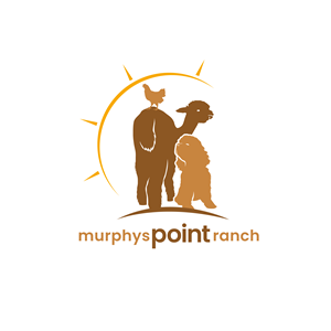 Design de Logo par AbhishekkM'24 pour ce projet | Design : #29915479