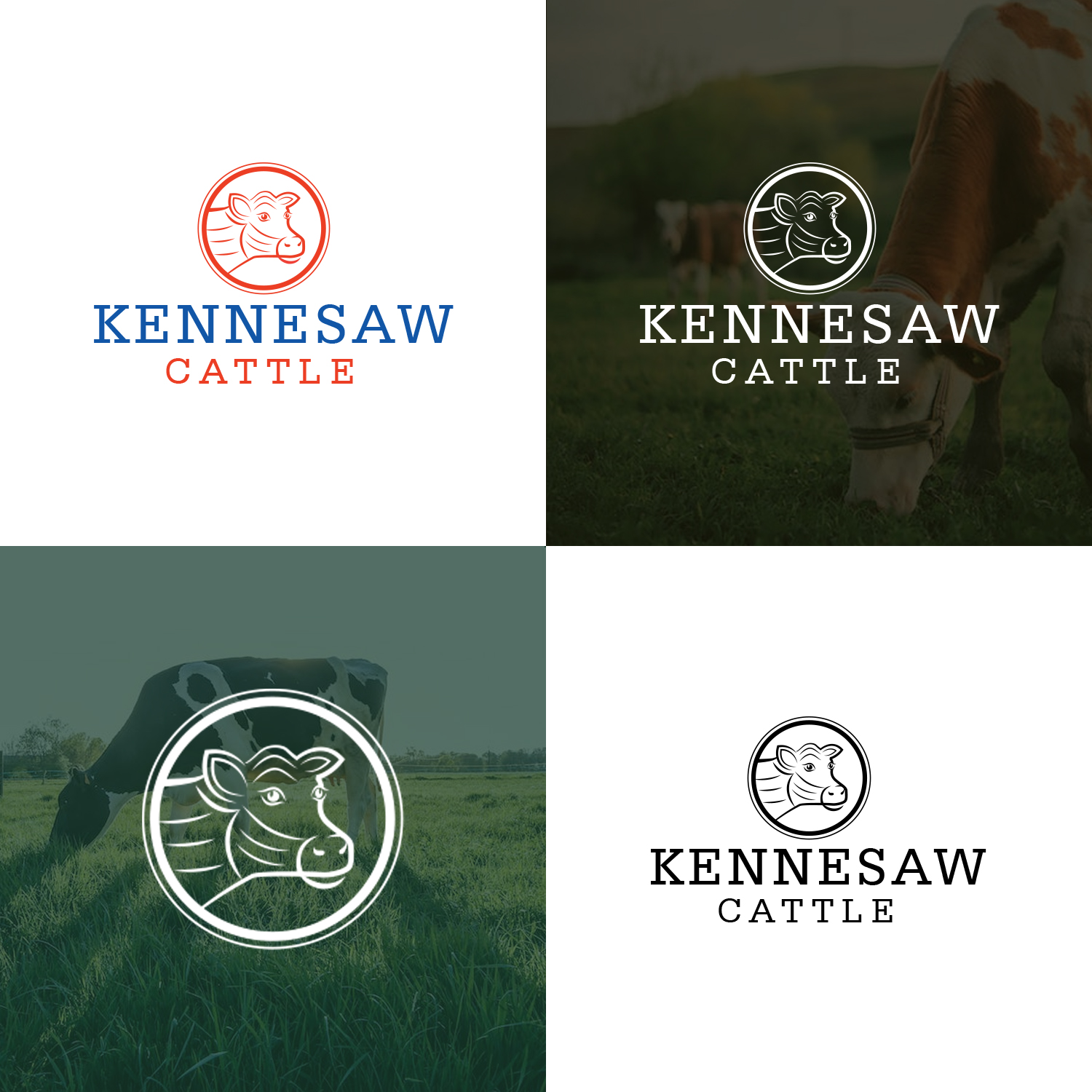 Diseño de Logo por Maxo-Biz para este proyecto | Diseño #29892215