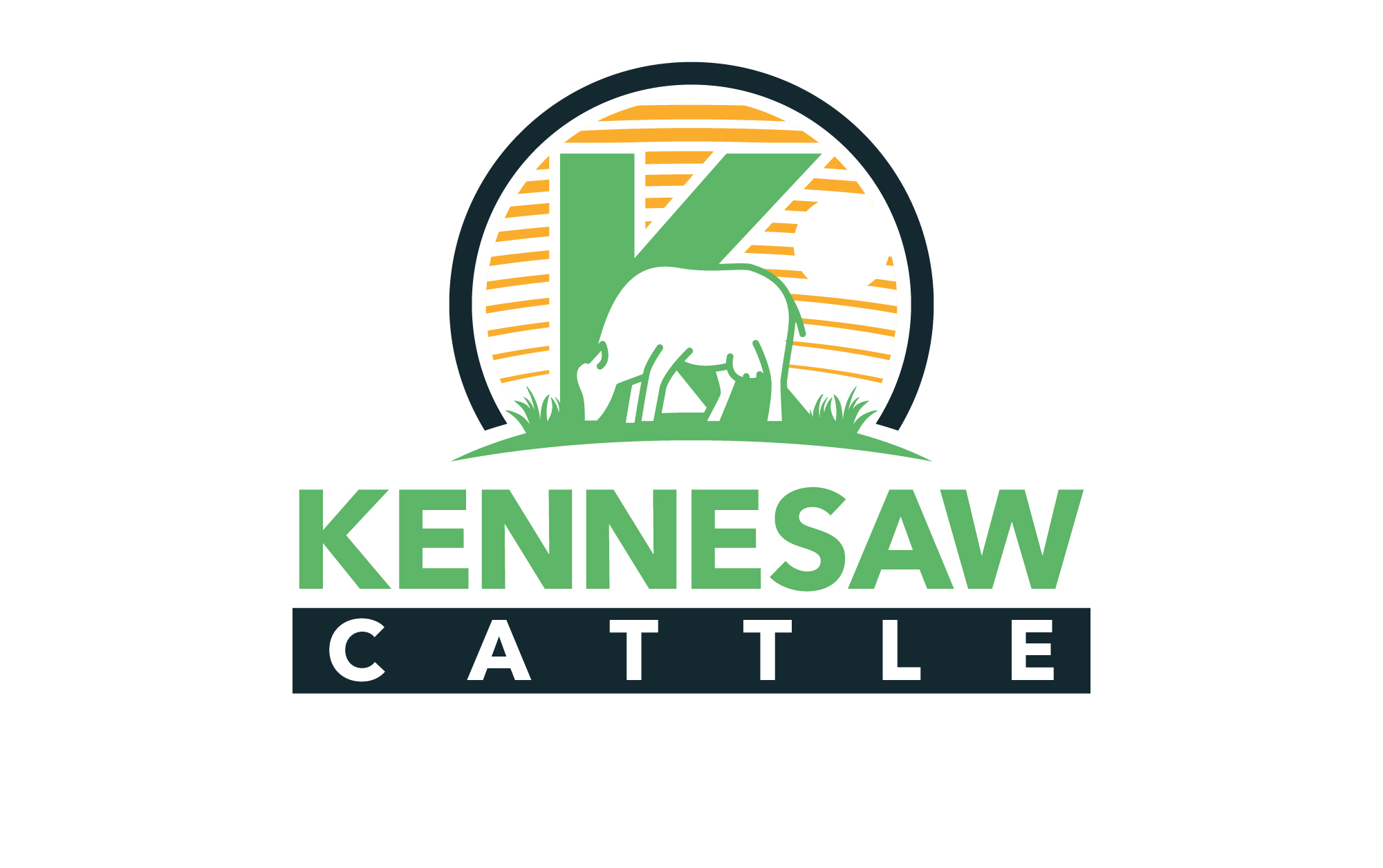 Logo Design by adjeiiBlack for this project | Design #29890051