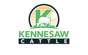 Logo Design by adjeiiBlack for this project | Design #29890051
