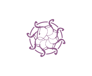 Logo Design by Adi Graphics for this project | Design: #29901121