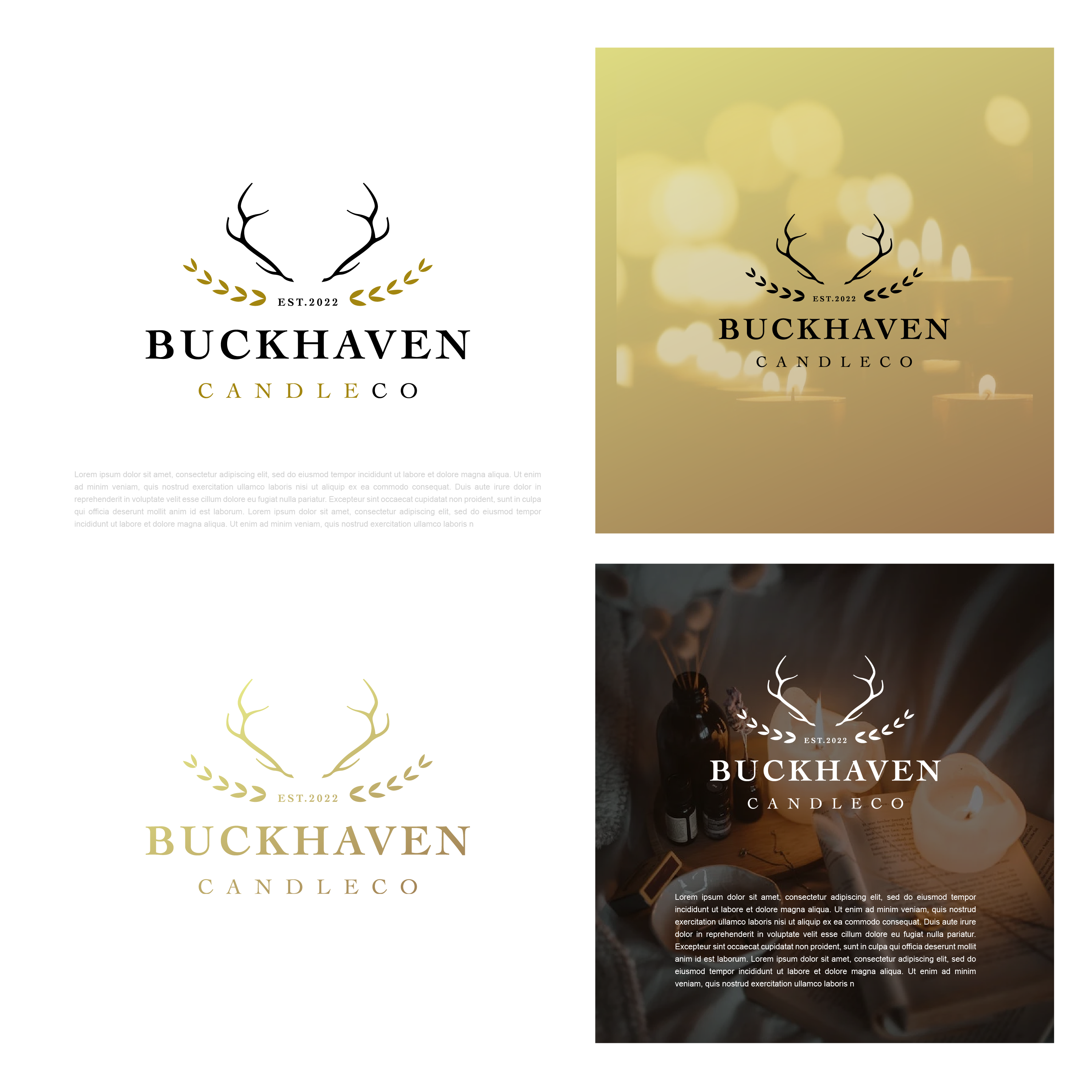 Logo Design by JTdsign for this project | Design #29921331