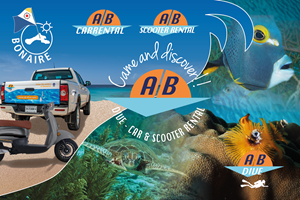 Graphic Design by LOM for AB Dive | Design #29900764