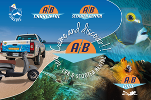 Graphic Design by LOM for AB Dive | Design: #29904890