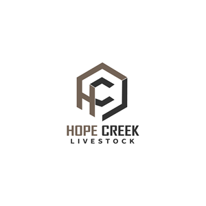 Logo Design by TripleAesthetic for this project | Design: #29927025