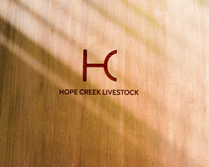 Logo Design by Solarex Corporation