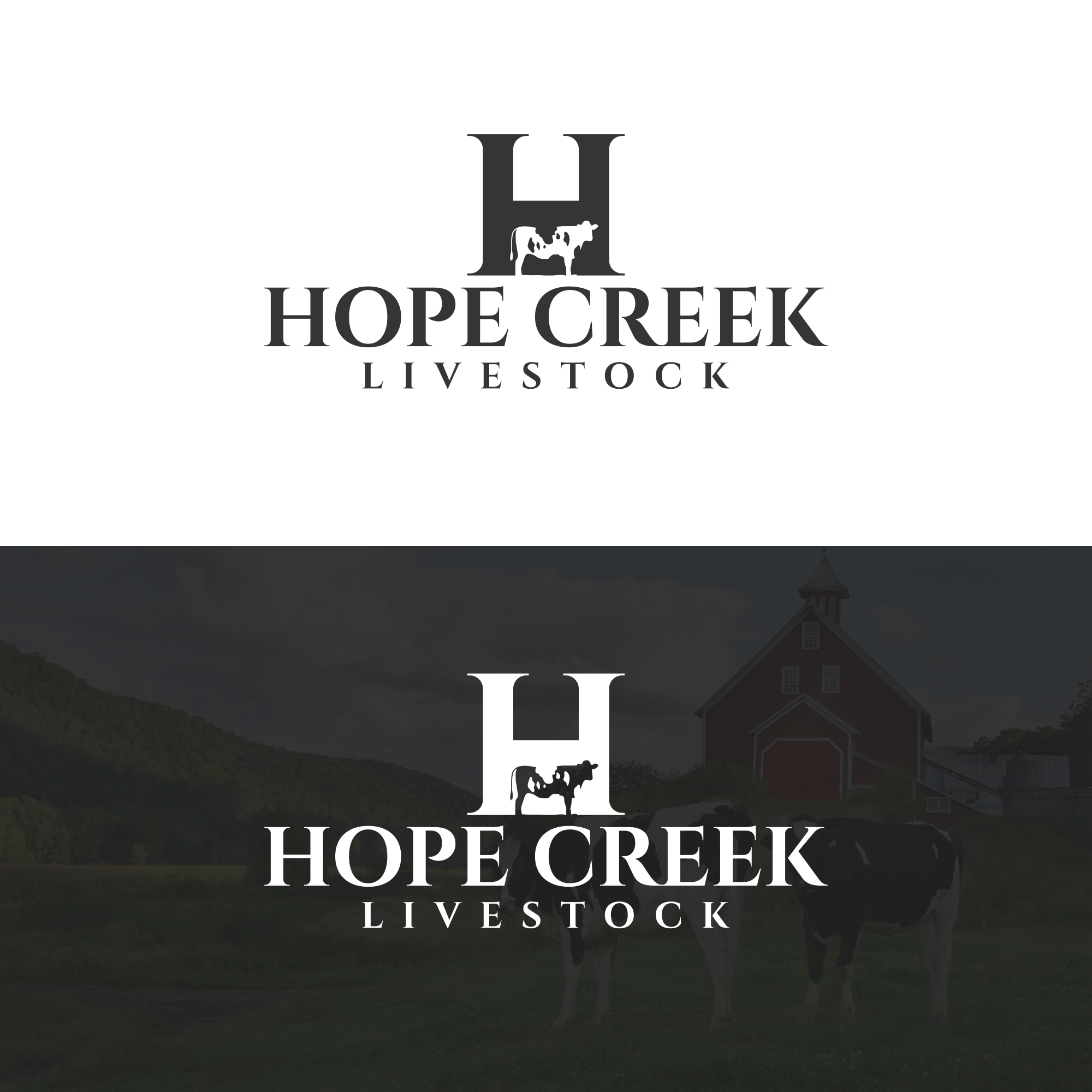 Logo Design by DSCMedian™ for this project | Design #29932489