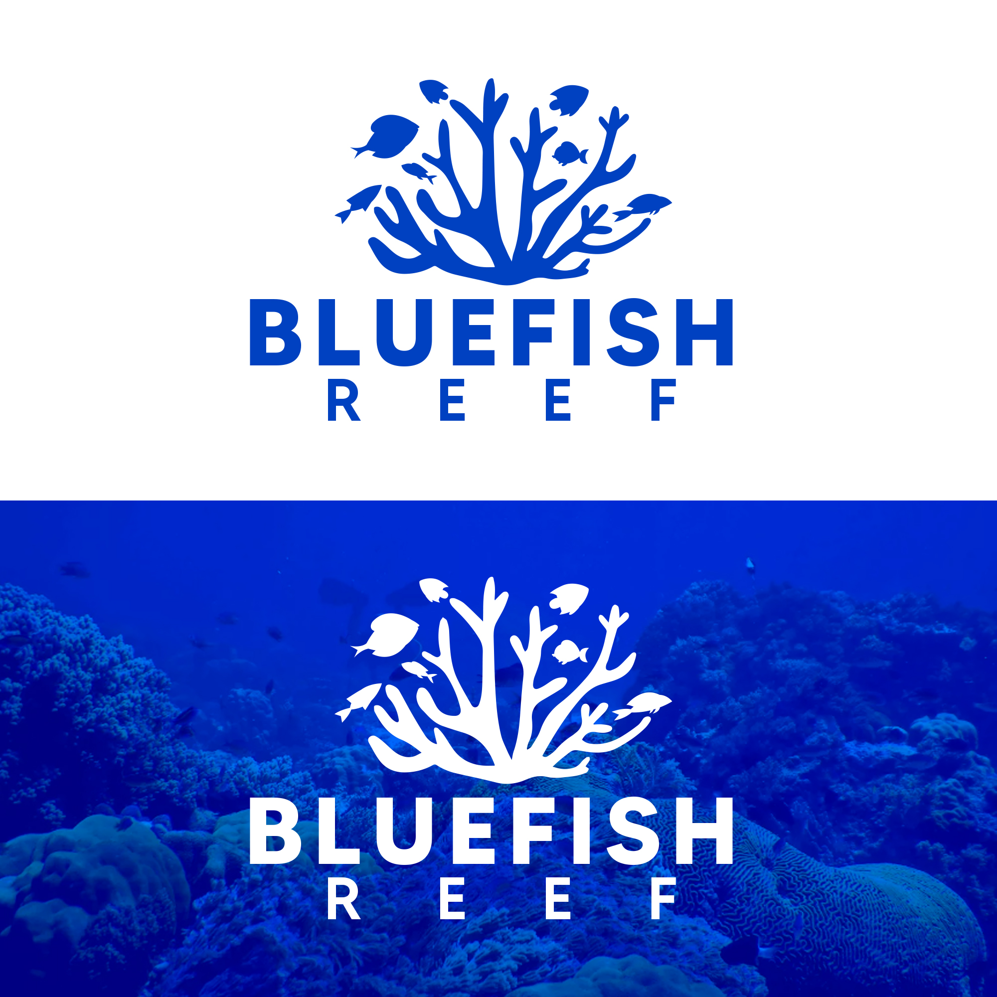 Logo Design by DSCMedian™ for this project | Design #29940788