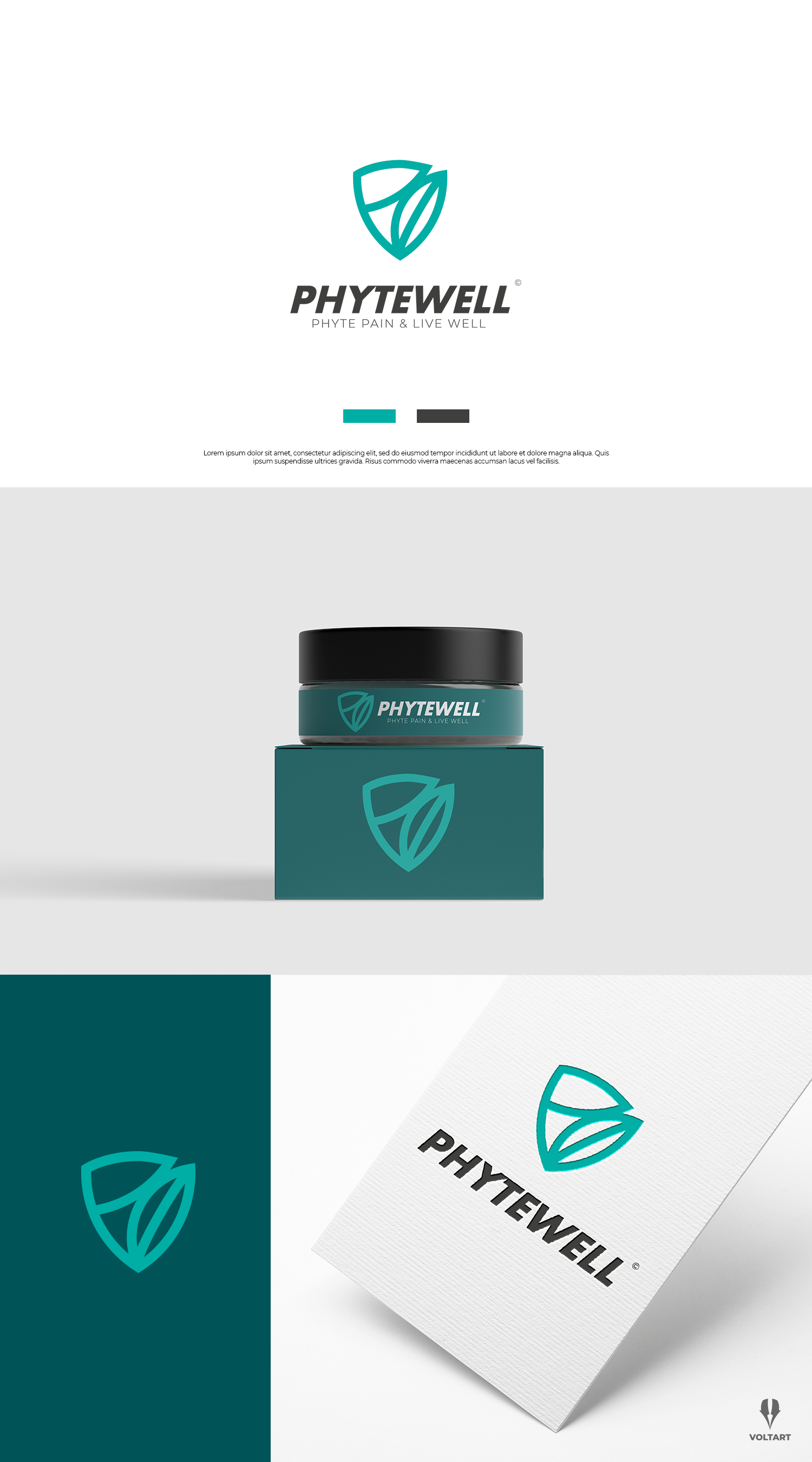 Diseño de Logo por voltart para este proyecto | Diseño #29967905