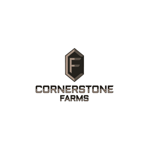 Logo Design by Jhannel55 for this project | Design: #29917343