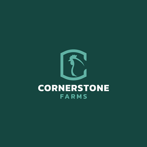 Logo Design by Franabanana for this project | Design: #29921388