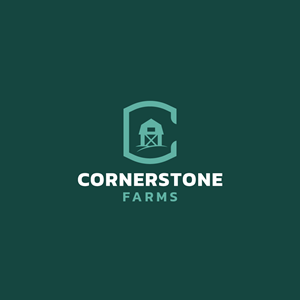 Logo Design by Franabanana