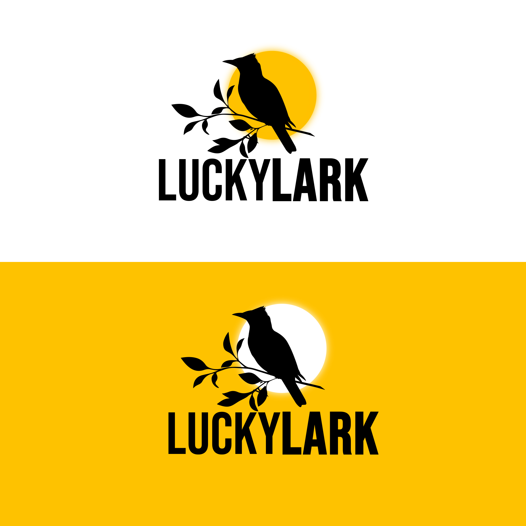 Logo Design by DSCMedia™ for this project | Design #29942350