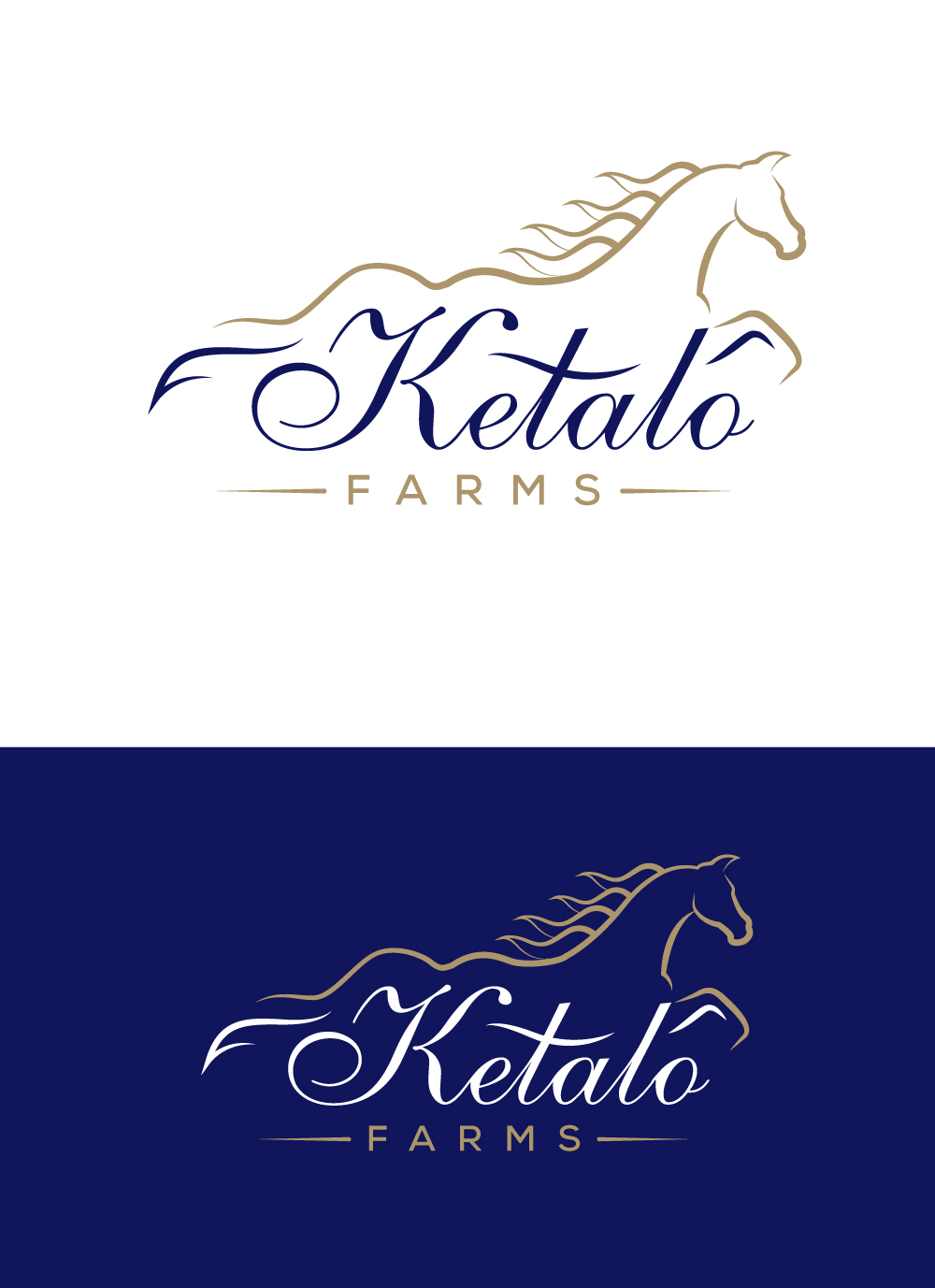Logo Design by SolDesign for this project | Design #29944800