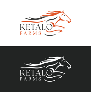Logo Design by Creative Service6
