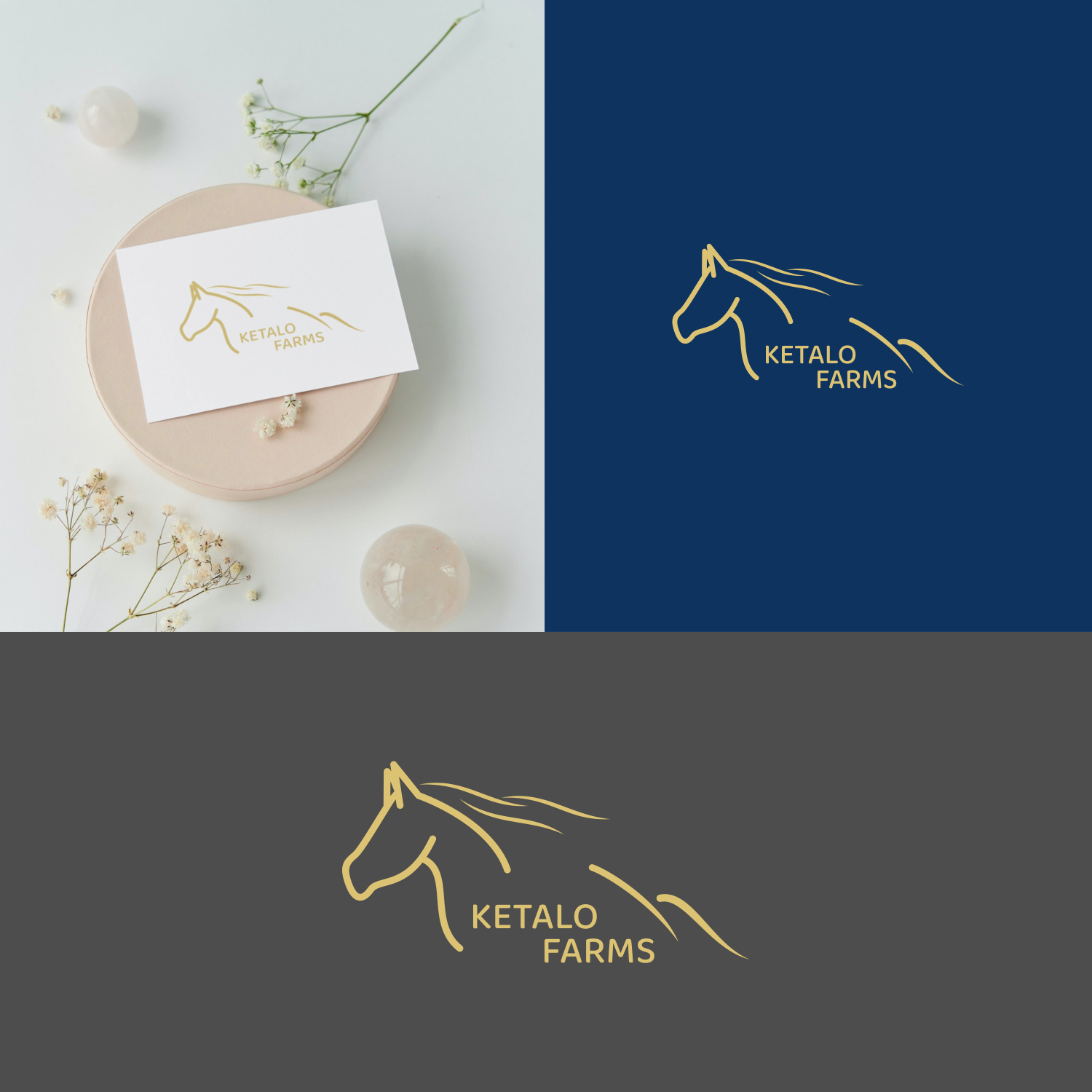 Logo Design by Sketch Graphic for this project | Design #29912293