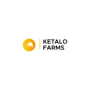 Logo Design by Kamidi