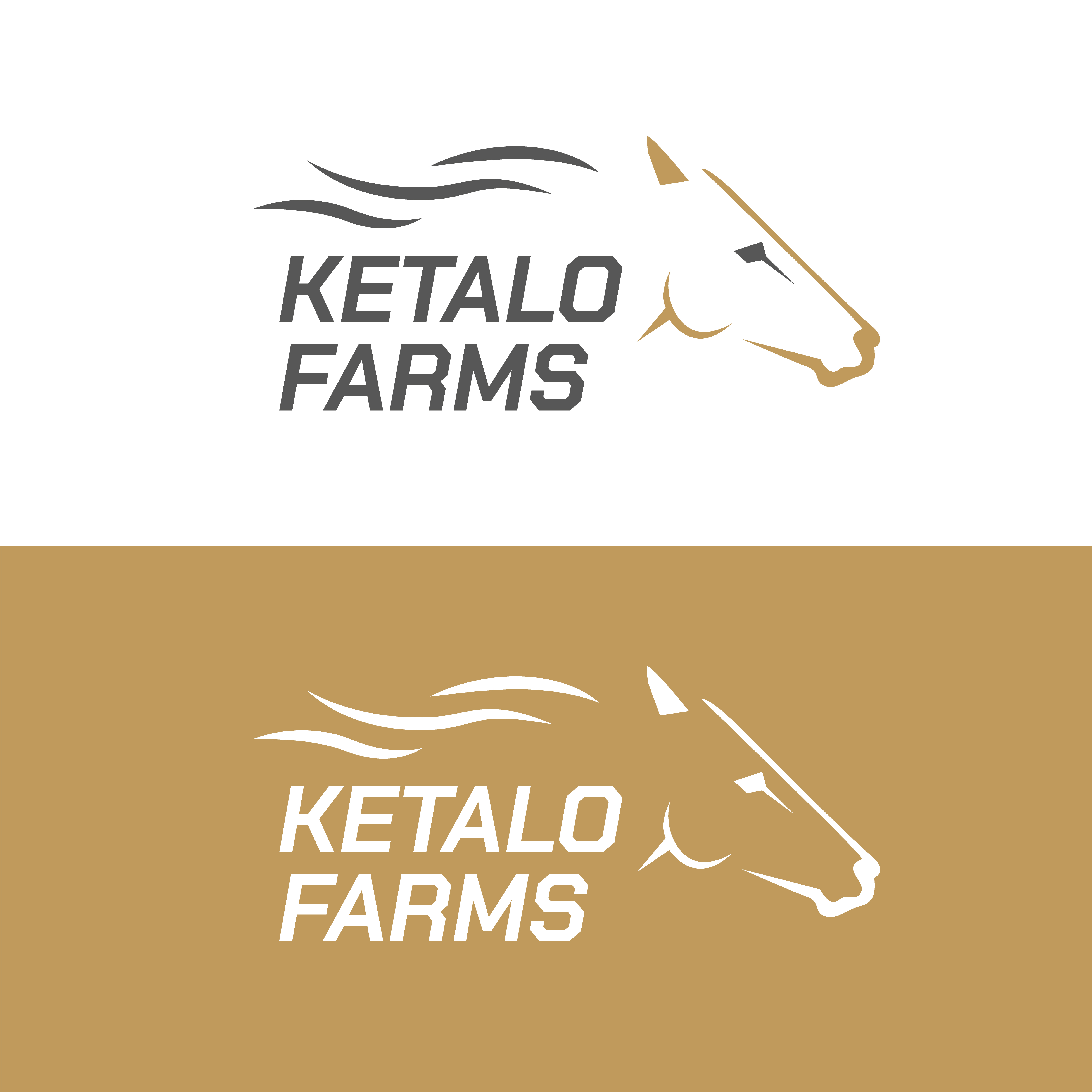 Logo Design by Sumon 007 for this project | Design #29914791