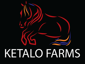 Logo Design by Baba8 for this project | Design: #29945862