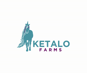 Logo Design by Ansh Design for this project | Design: #29909816