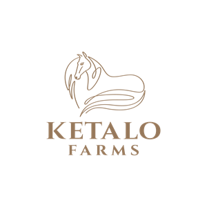 Logo Design by NK-graphicdesigner